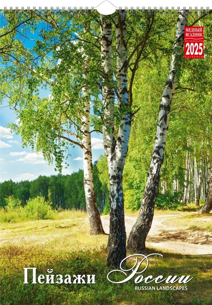 

Календарь 2025г 350*500 "Пейзажи России" настенный, на спирали