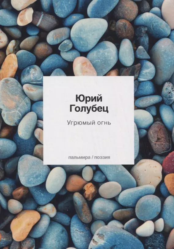 Угрюмый огнь первая книга песен 763₽