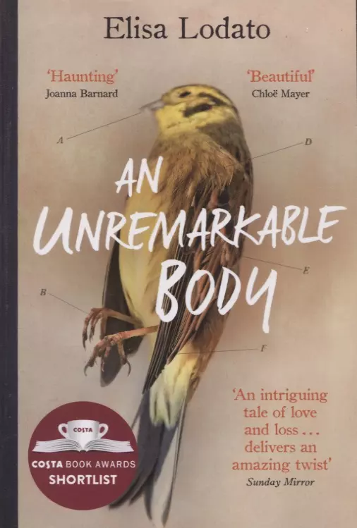 An Unremarkable Body