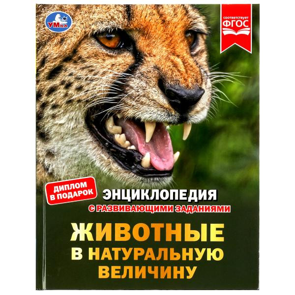 Животные в натуральную величину