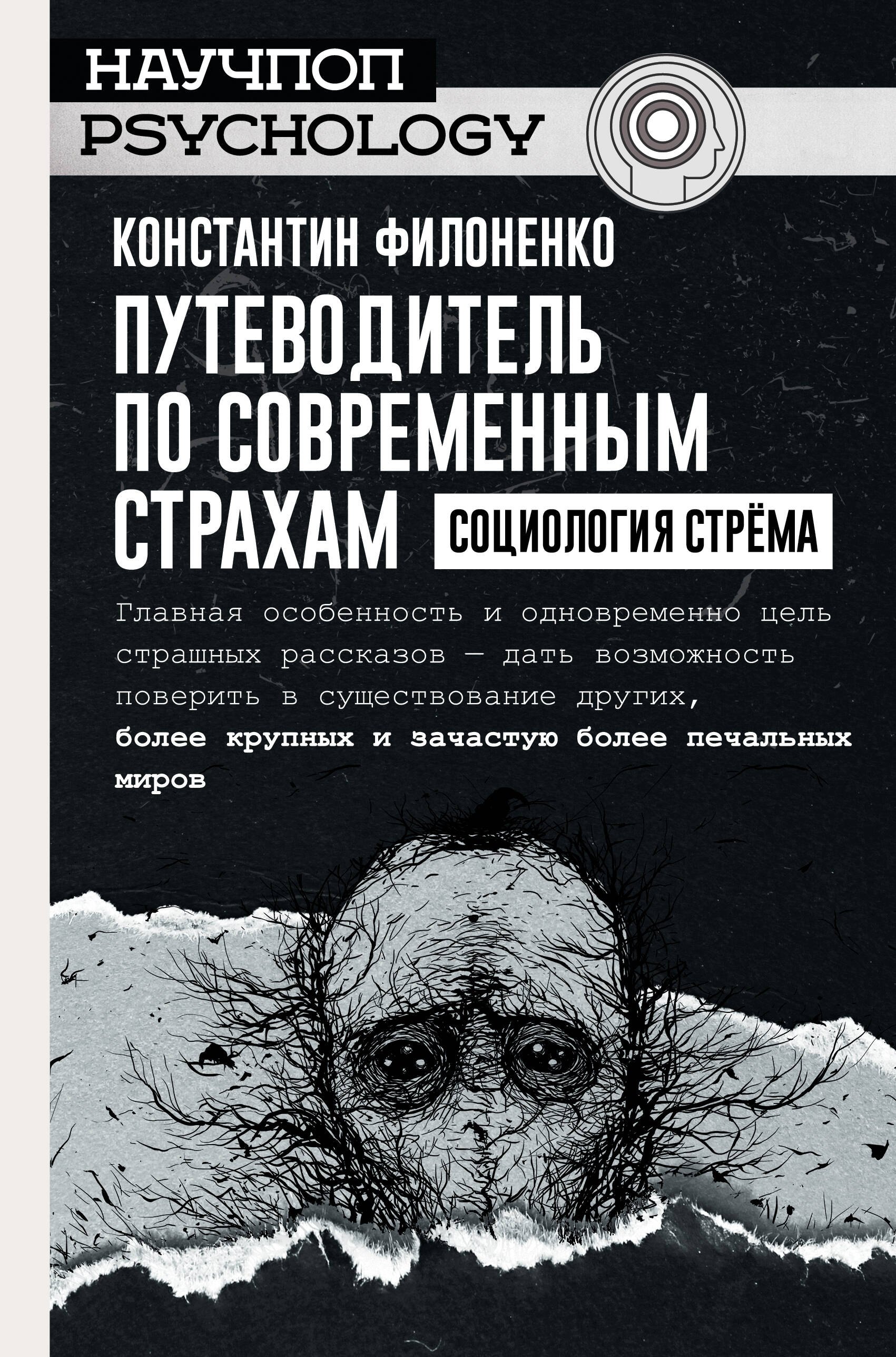 

Путеводитель по современным страхам. Социология стрема