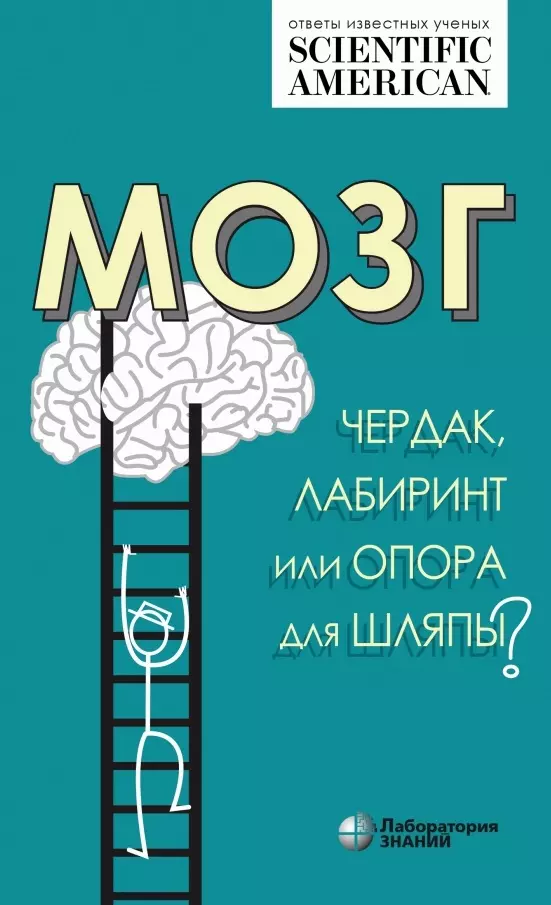 Мозг: чердак, лабиринт или опора для шляпы?