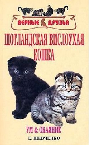 Шевченко Елена Алексеевна: Шотландская вислоухая кошка. Ум и обаяние