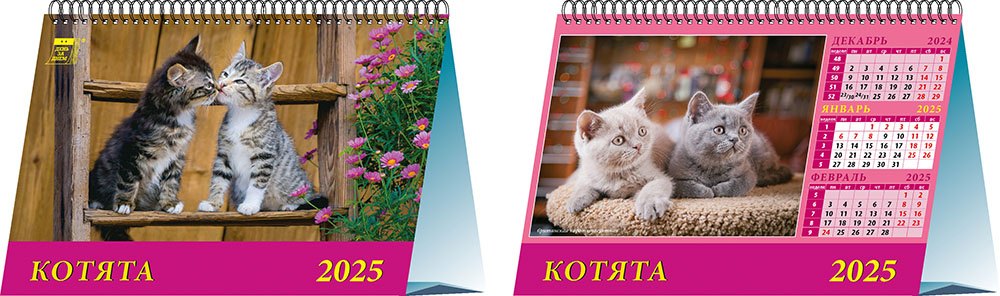 

Календарь 2025г 200*140 "Котята" настольный, домик