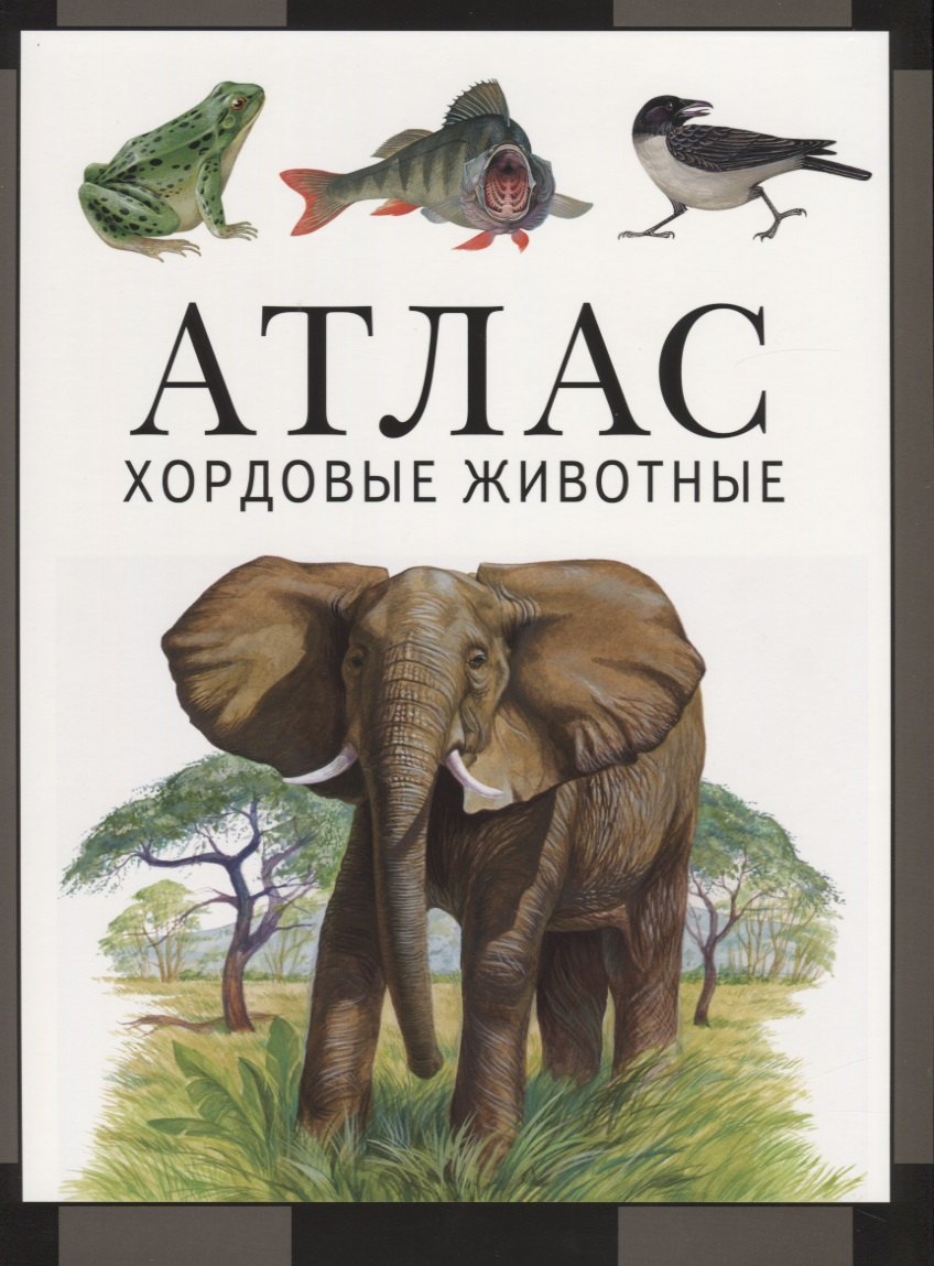Козлов Михаил Алексеевич: Атлас. Хордовые животные