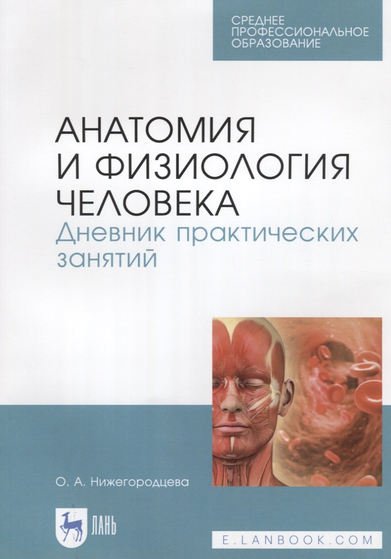 Анатомия и физиология человека. Дневник практических занятий