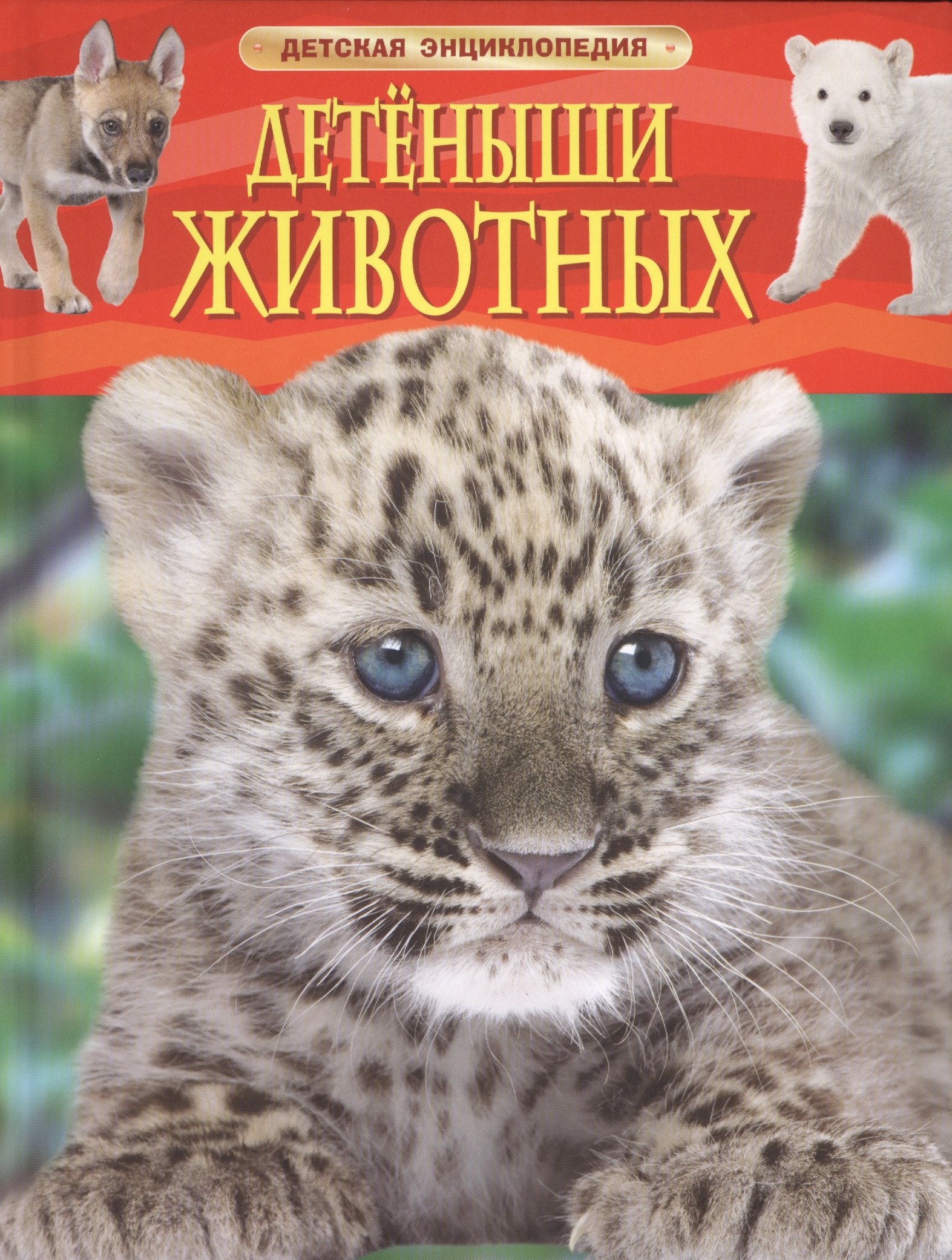 

Детеныши животных. Детская энциклопедия. Пер. с англ.