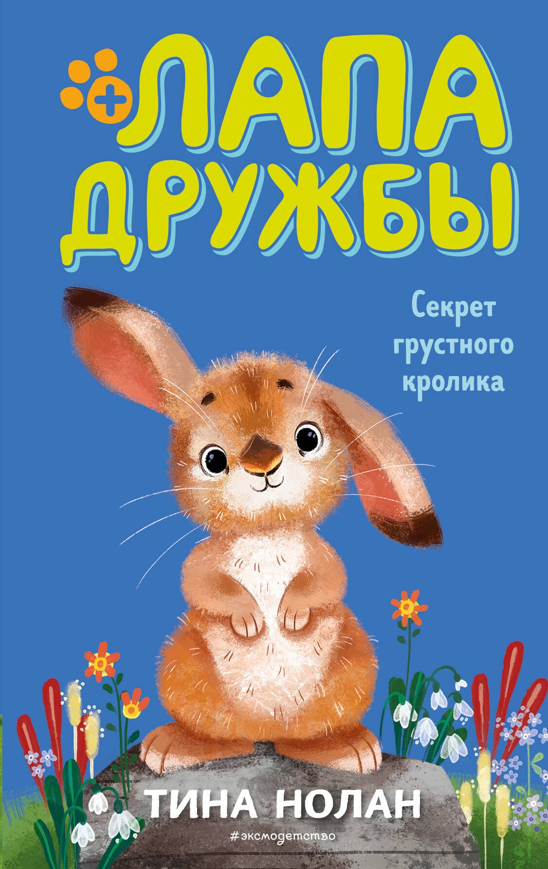 

Секрет грустного кролика (#12)
