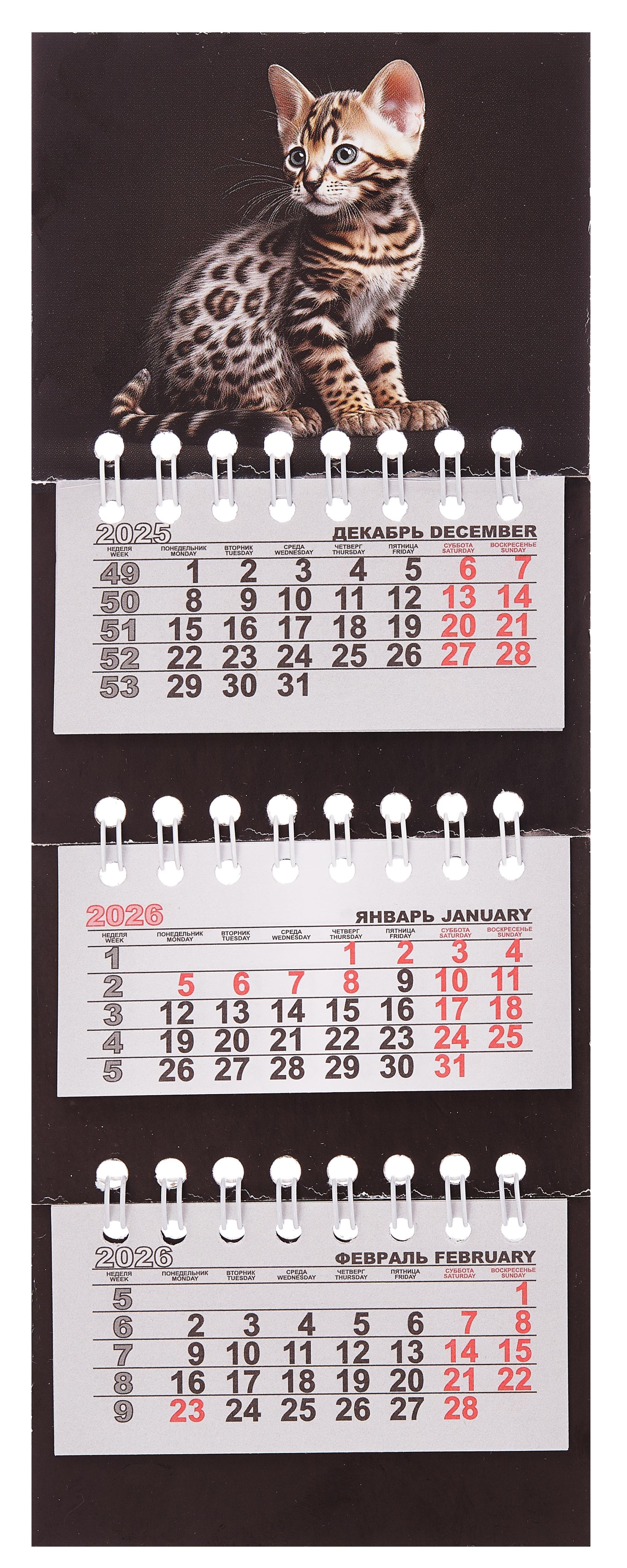 Календарь квартальный 2026г 82230 quotКотенок на черном quot на магните 199₽