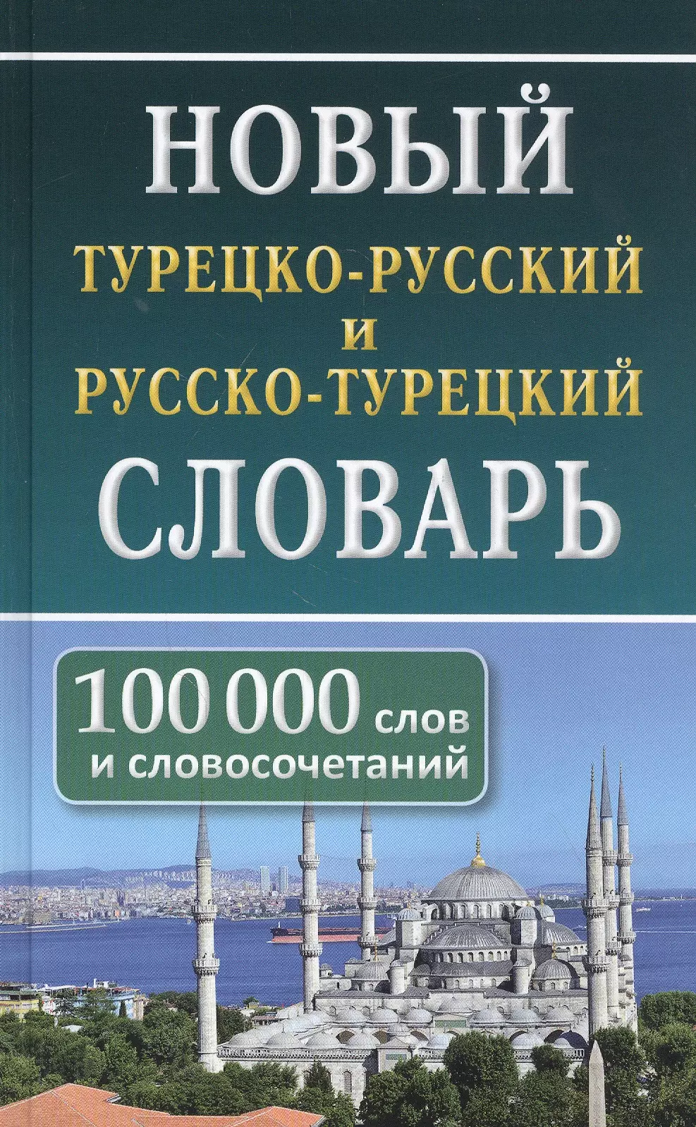 Новый турецко-русский русско-турецкий словарь 100 000 слов и словосочетаний 506₽