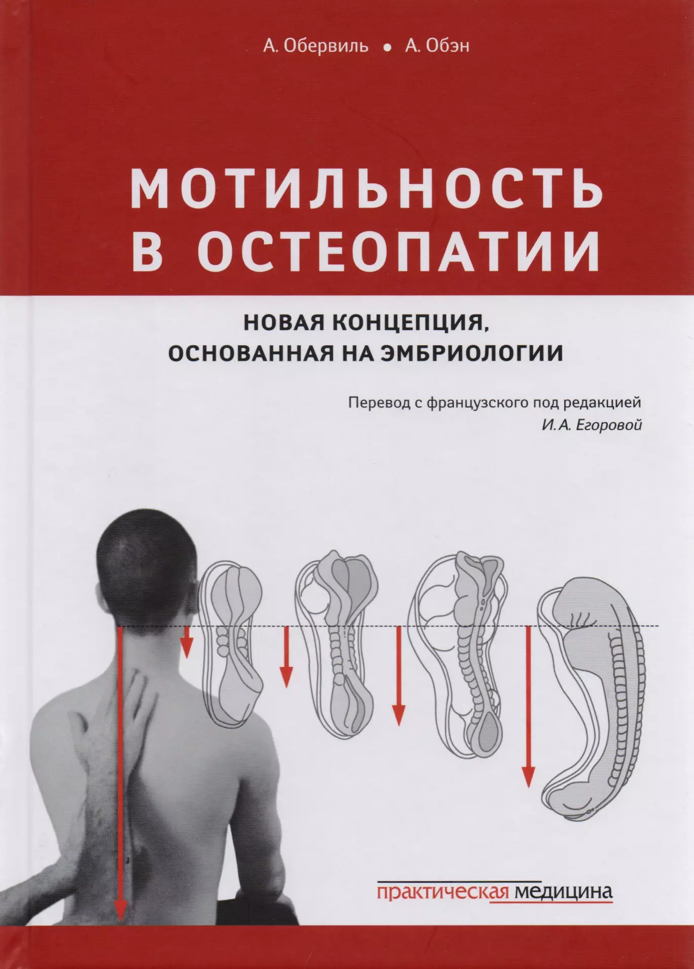 Мотильность в остеопатии Новая концепция основанная на эмбриологии (Обервиль)