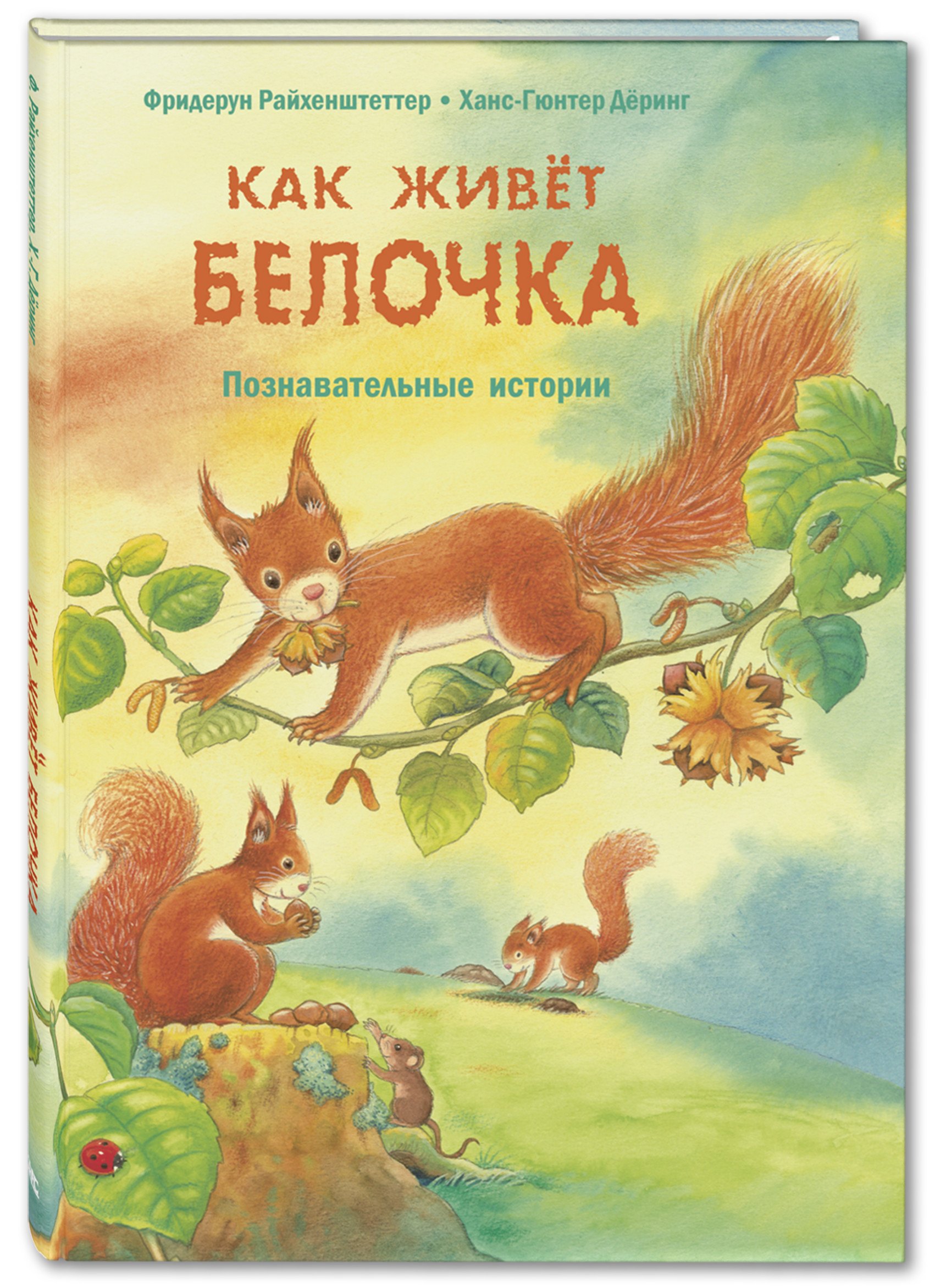 

Как живет белочка. Познавательные истории