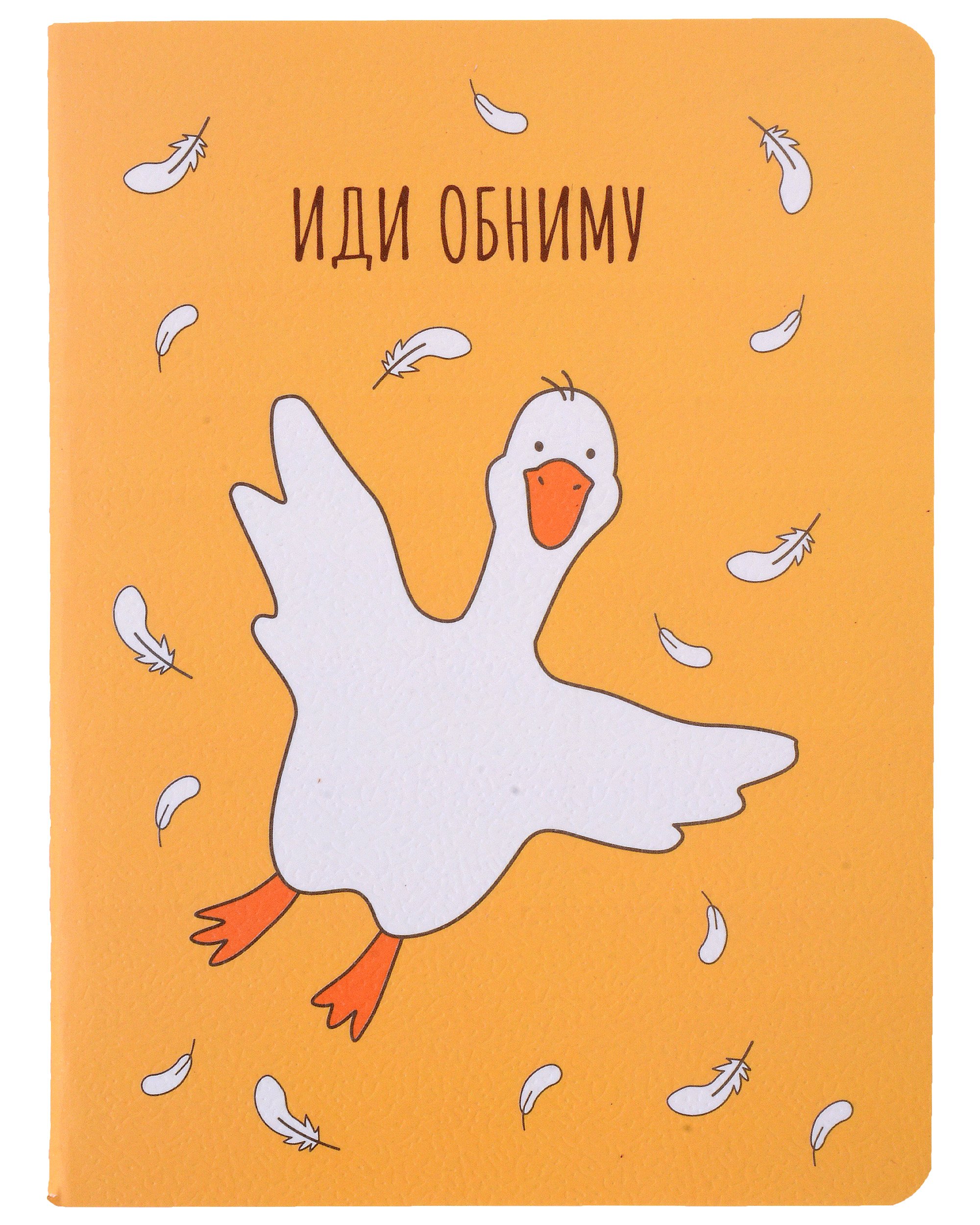 

Записная книжка Yoi, "Гусь-обнимусь", A6 32 листа в клетку
