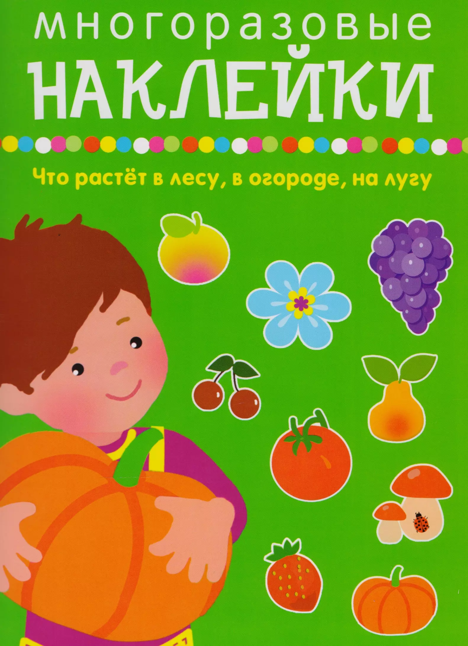 Что растет в лесу, в огороде, на лугу