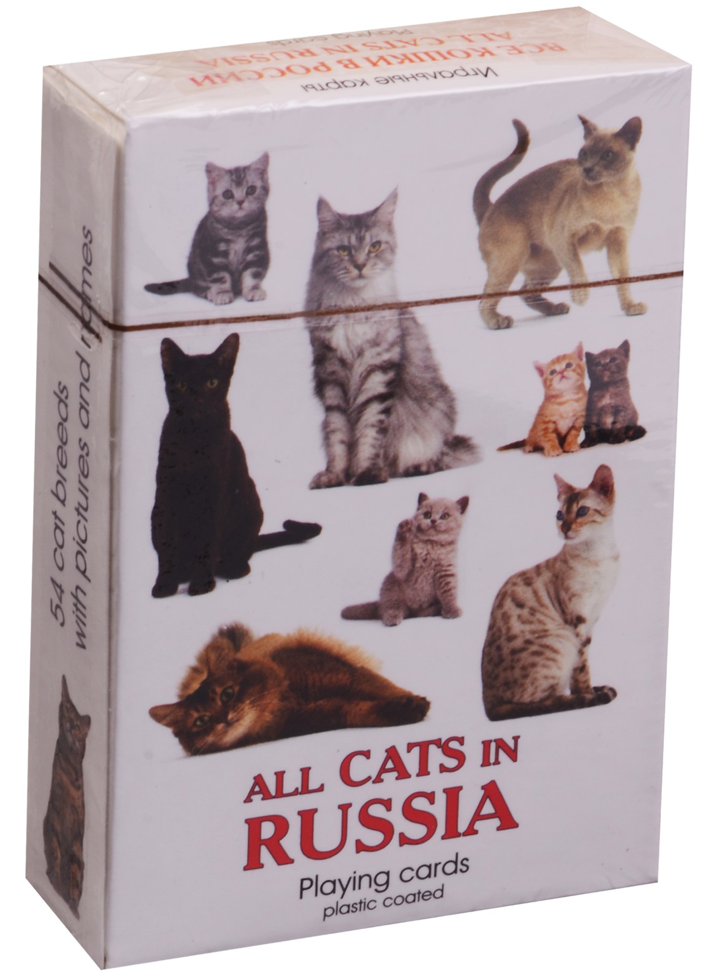Карты сувенирные Все кошки в России 900-07W-CAT 249₽