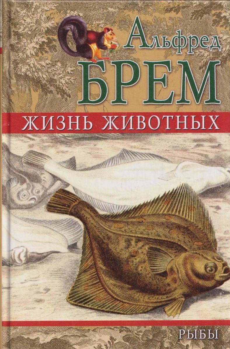 

Рыбы. Отряд открытопузырные. Отряд пучкожабреные. Отряд твердочелюстные. Отряд твердочешуйные. Отряд хрящеперные. Отряд круглоротые. Отряд трубкосердцевые