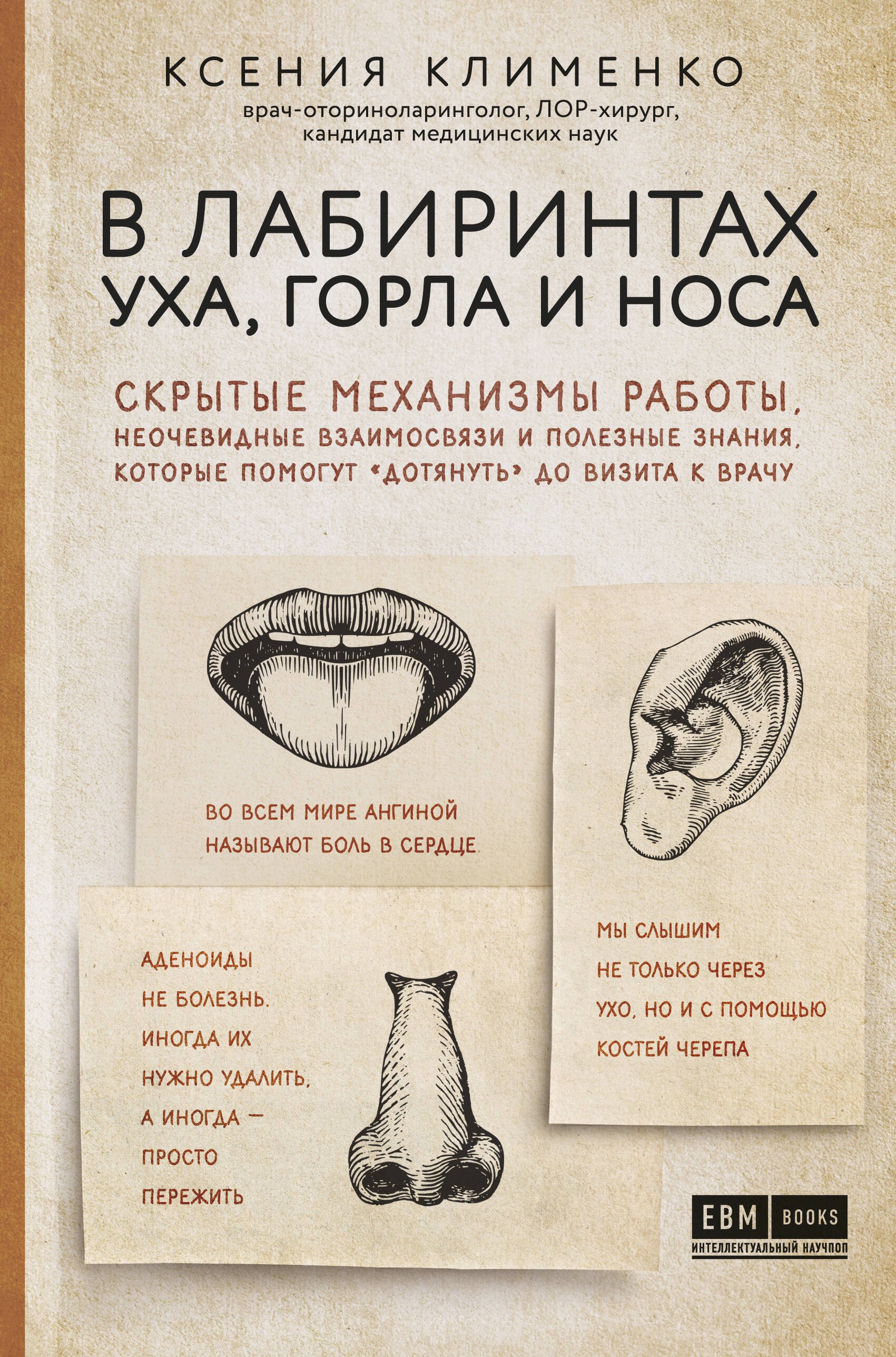 

В лабиринтах уха, горла и носа. Скрытые механизмы работы, неочевидные взаимосвязи и полезные знания, которые помогут "дотянуть" до визита к врачу