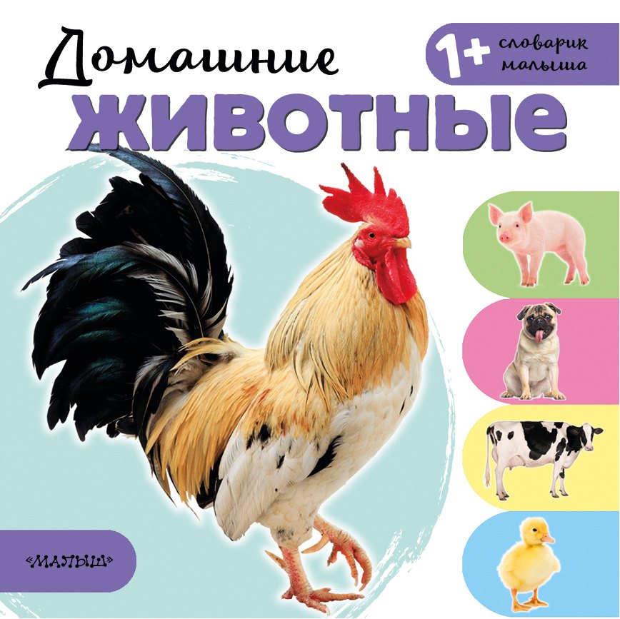 .: Домашние животные