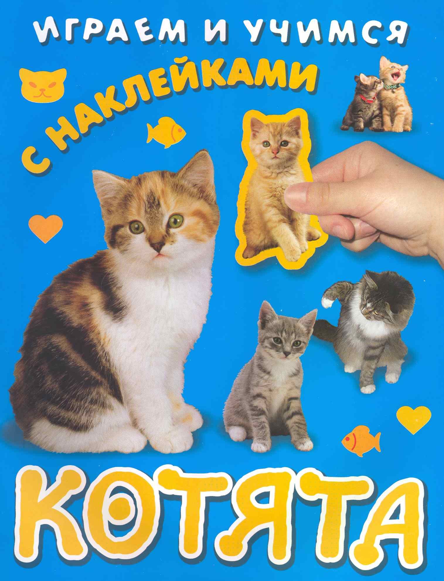 

Котята / С наклейками (мягк) (Играем и учимся) (Омега)