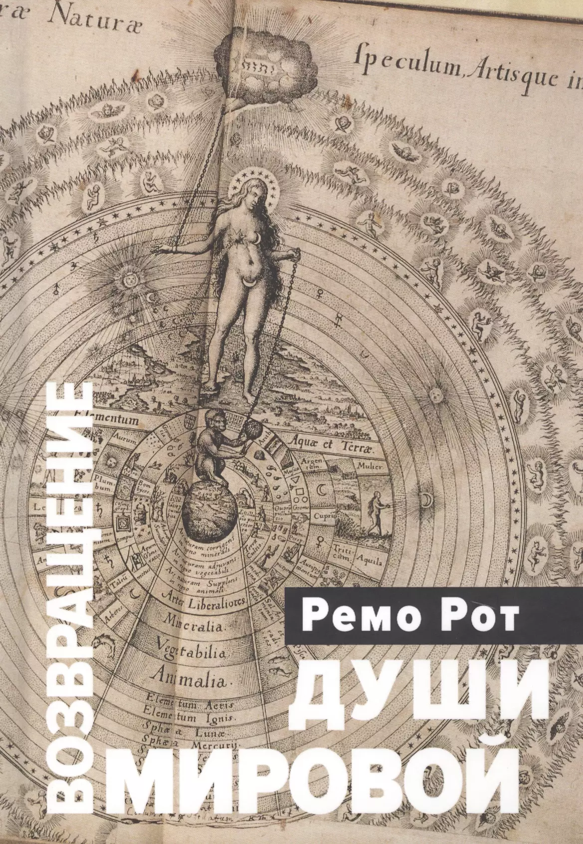 Возвращение Мировой души. Вольфганг Паули, Карл Густав Юнг и вызов психофизической реальности