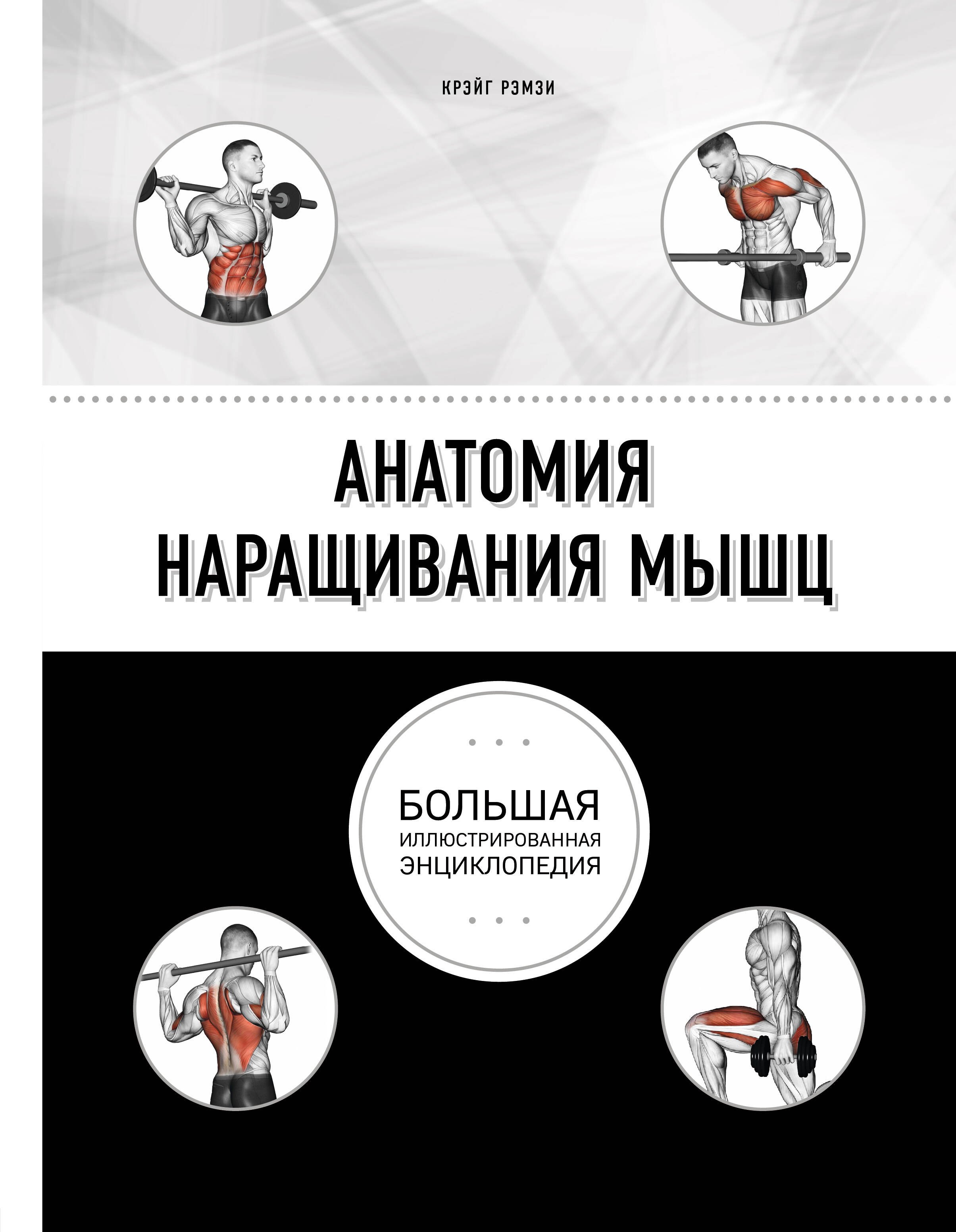 

Анатомия наращивания мышц