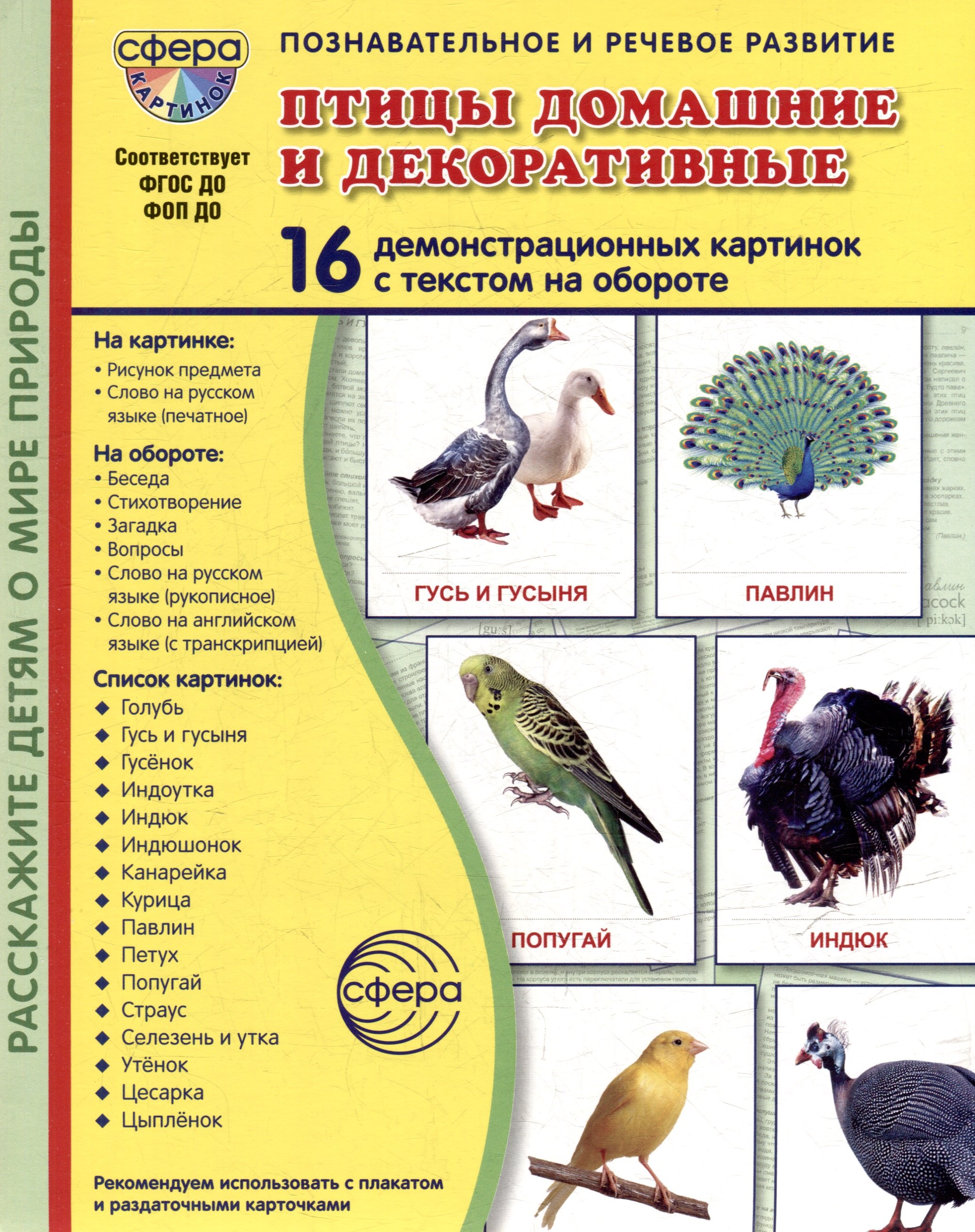 Демонстрационные картинки quotПтицы домашние и декоративные quot 16 демонстрационных картинок с текстом на обороте 349₽