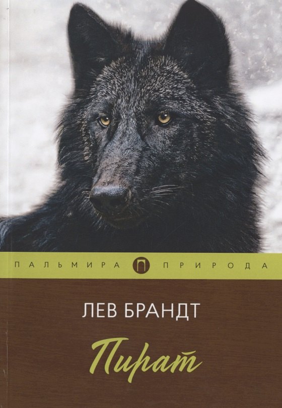 

Пират