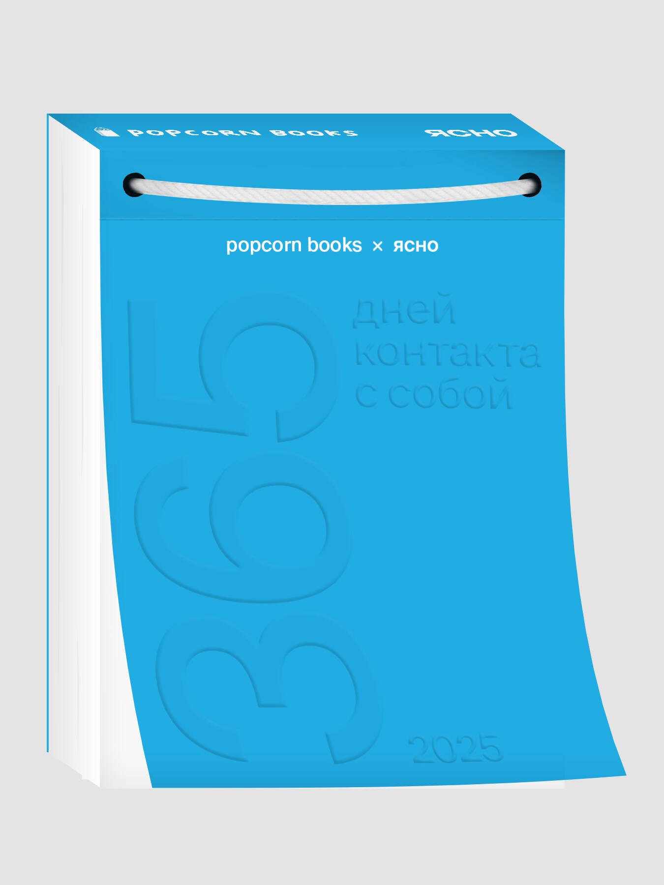 Календарь 2025 год Popcorn Books x Ясно 1206₽