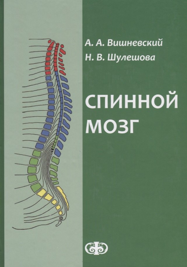 

Спинной мозг: клинические и патофизиологические сопоставления. ил