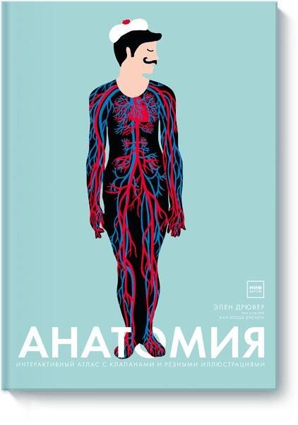 

Анатомия