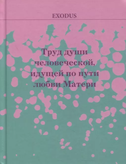 Труд души человеческой идущей по пути Любви МАТЕРИ