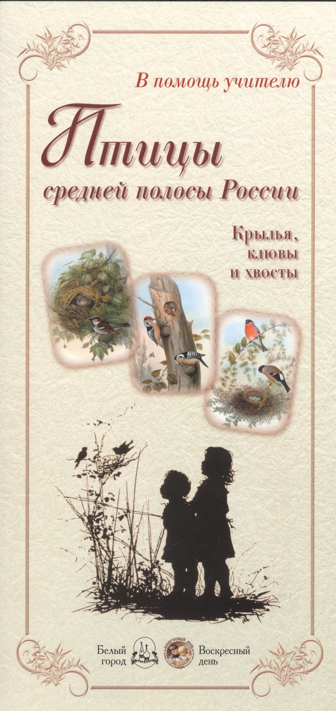 

Птицы средней полосы России. Крылья, клювы и хвосты