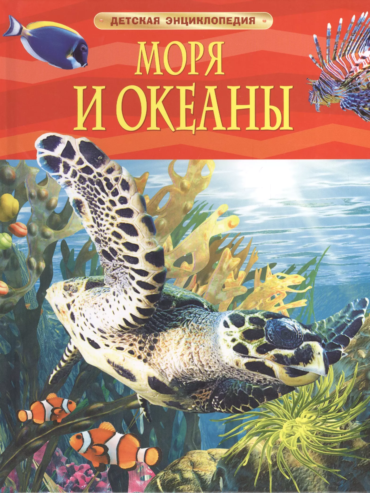 Моря и океаны