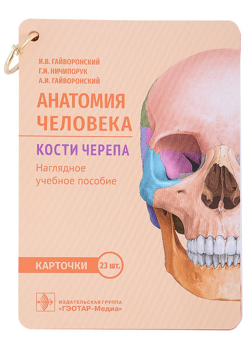 

Анатомия человека. Кости черепа. Карточки: наглядное учебное пособие