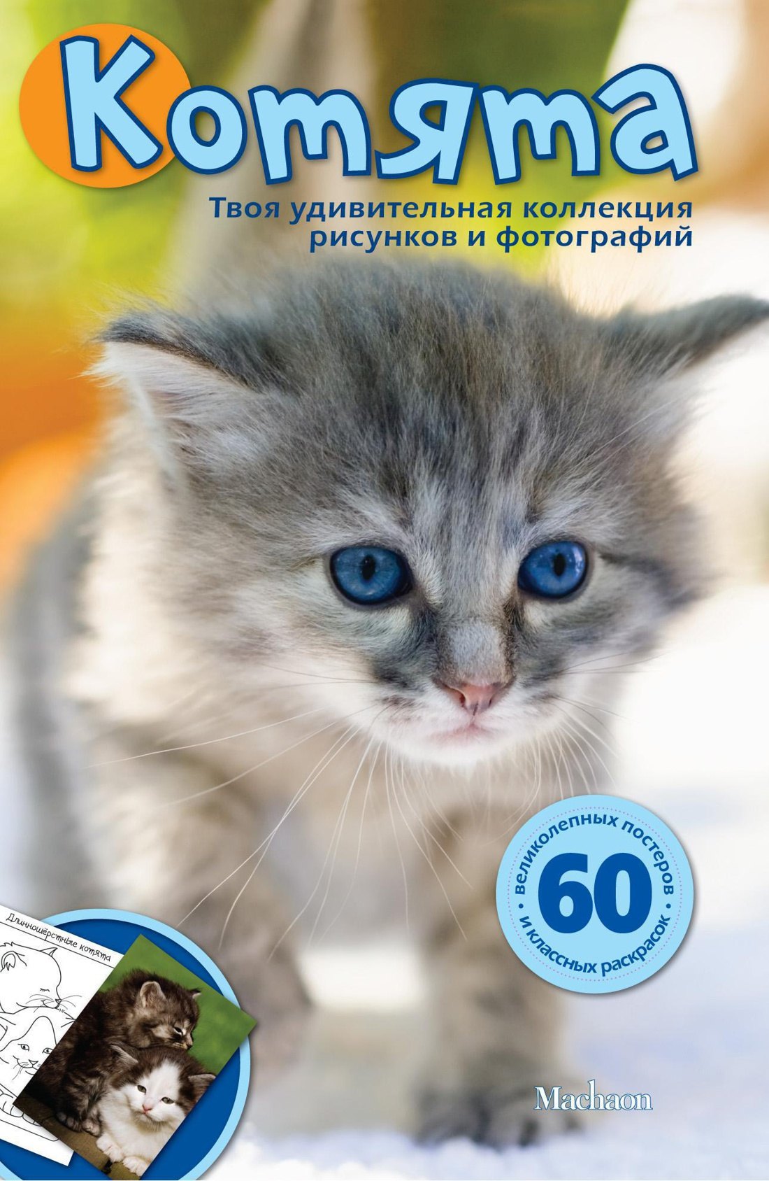 

Котята
