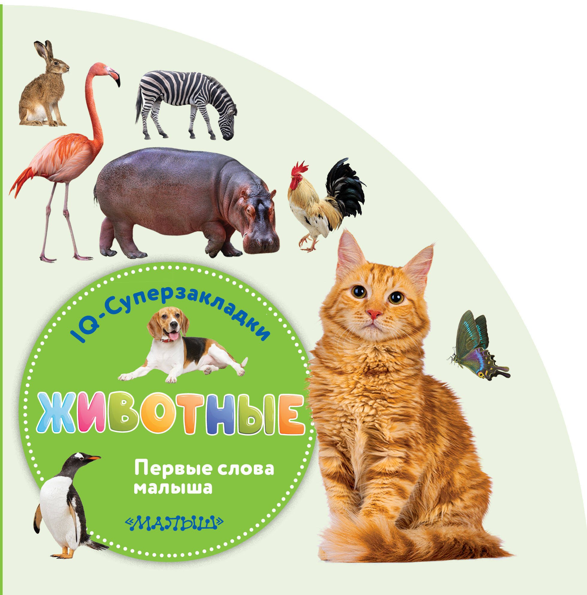 Животные 599₽