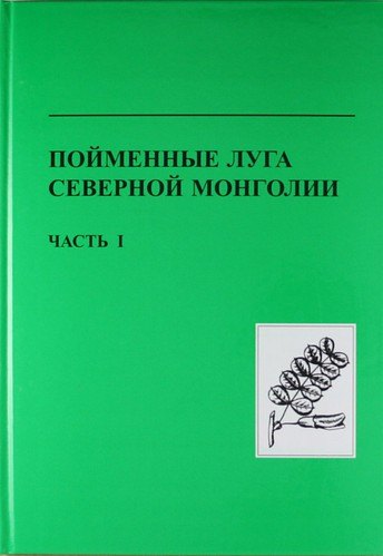 

Пойменные луга Северной Монголии. Часть 1. структура, состав, продуктивность и биоразнообразие пойменных экосистем