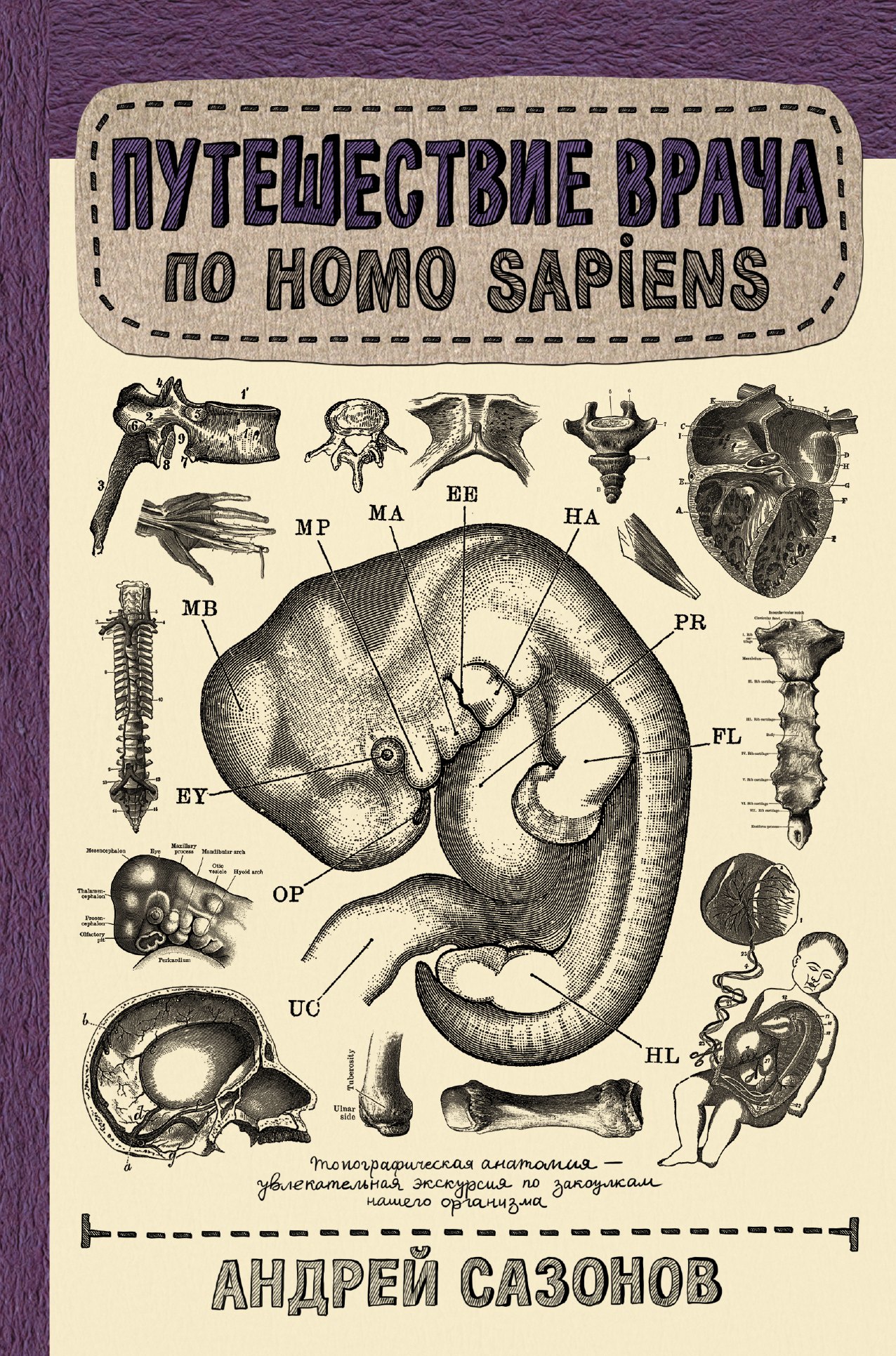 

Путешествие врача по Homo Sapiens