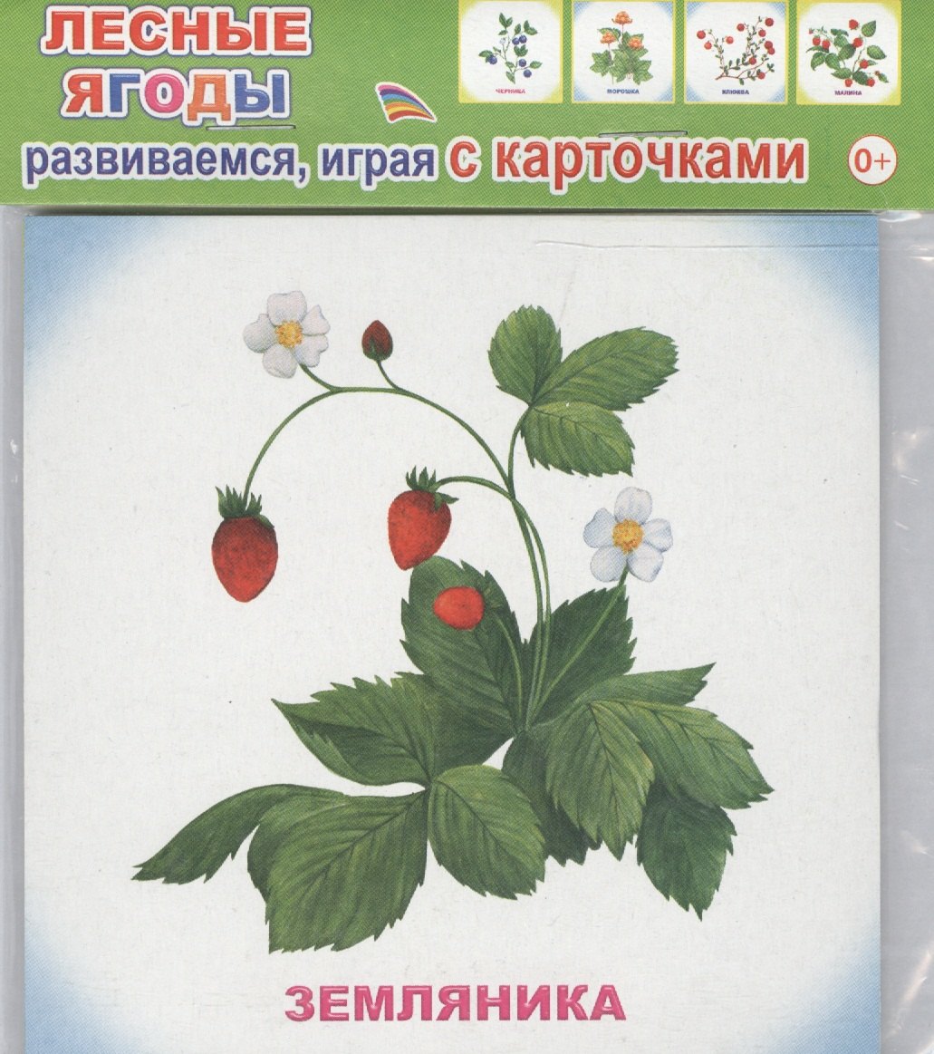 Обучающие карточки Лесные ягоды упаковка 978-5-91282-757-0 89₽