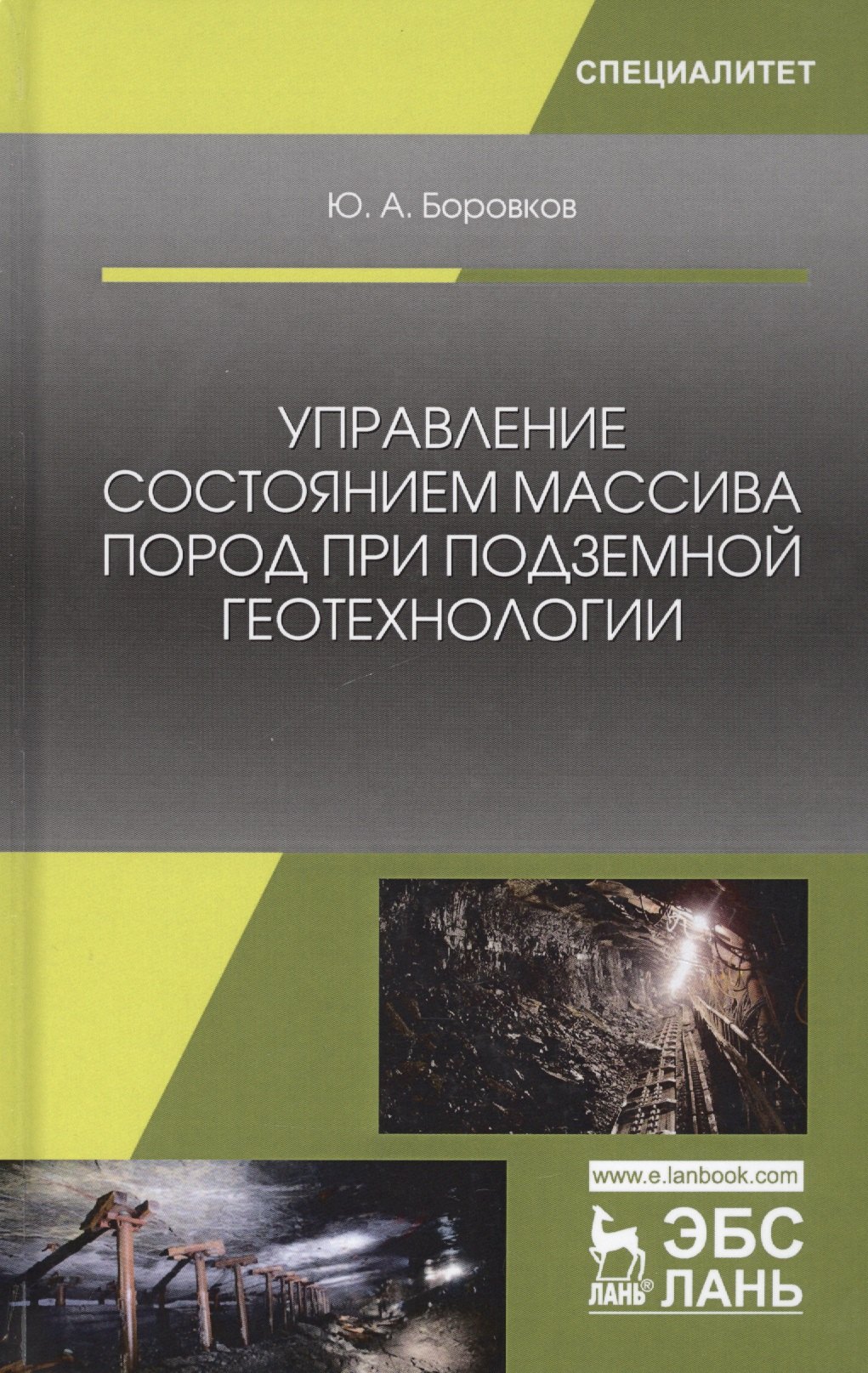 

Управление состоянием массива пород при подземной геотехнологии (УдВСпецЛ) Боровков