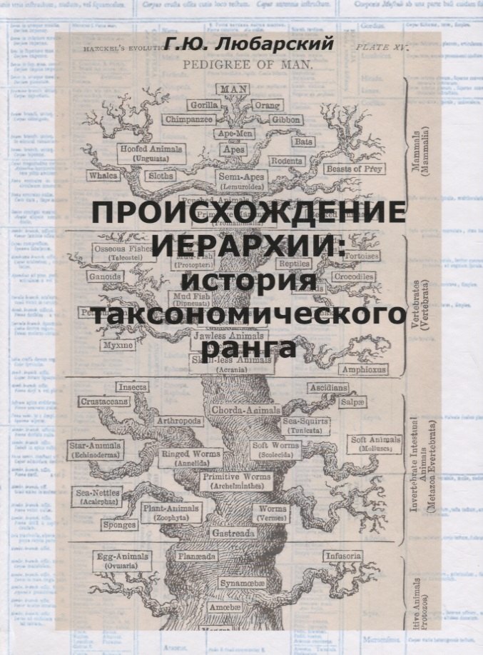 

Происхождение иерархии: история таксономического ранга