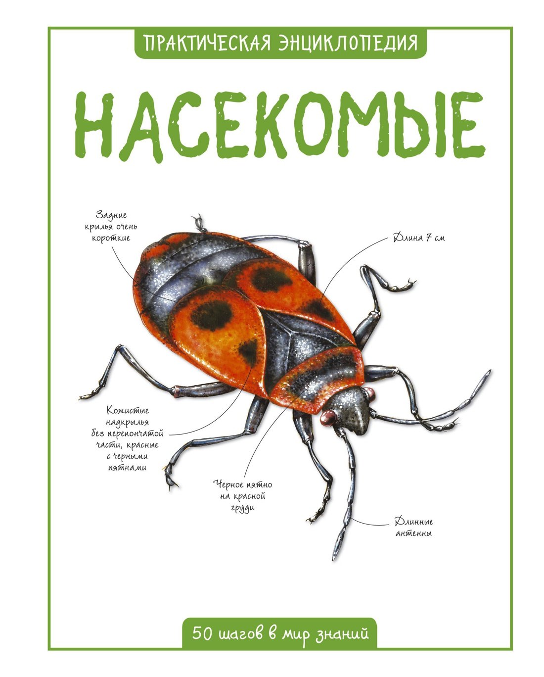 Насекомые 329₽