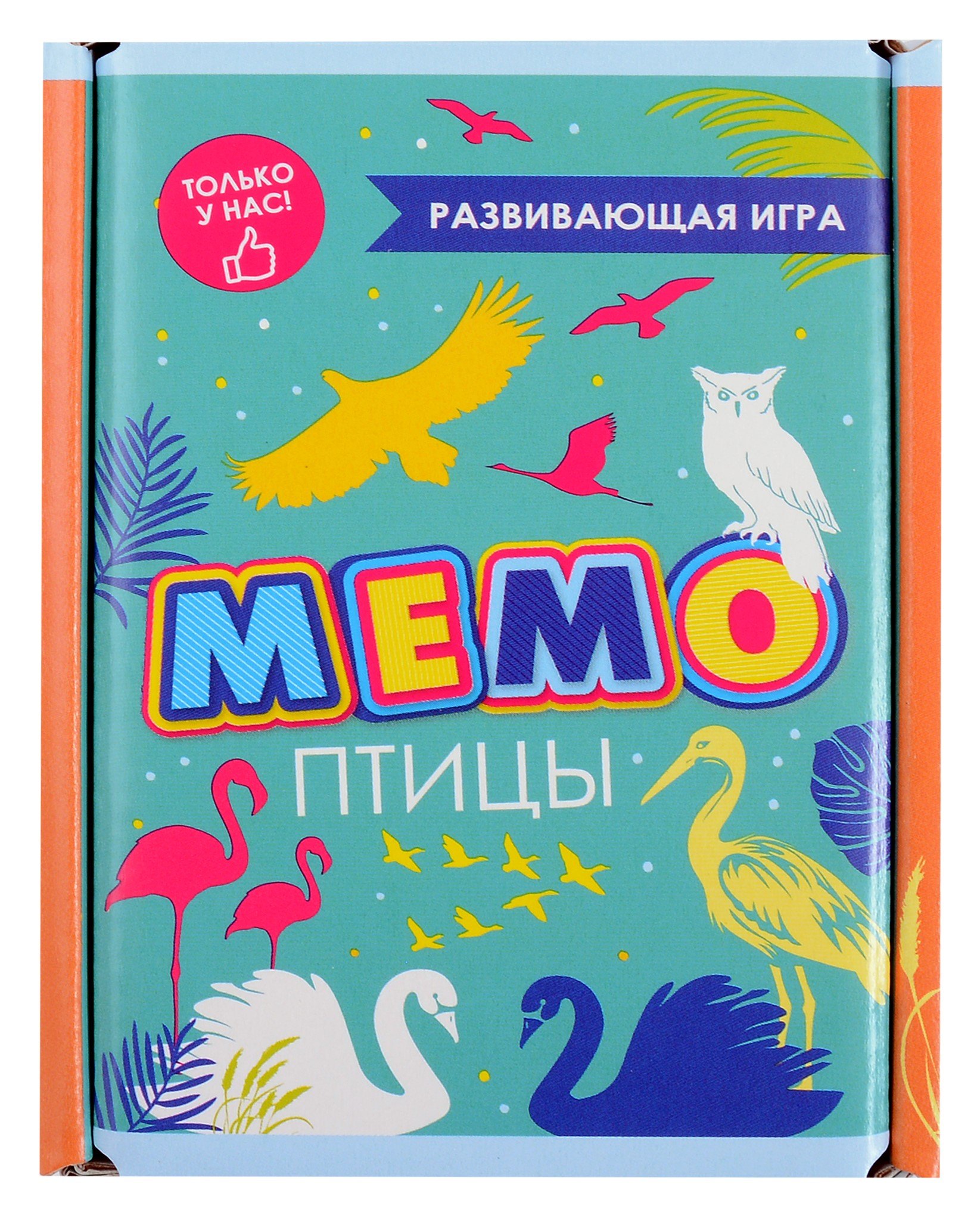 

Развивающая игра. Мемо. Птицы