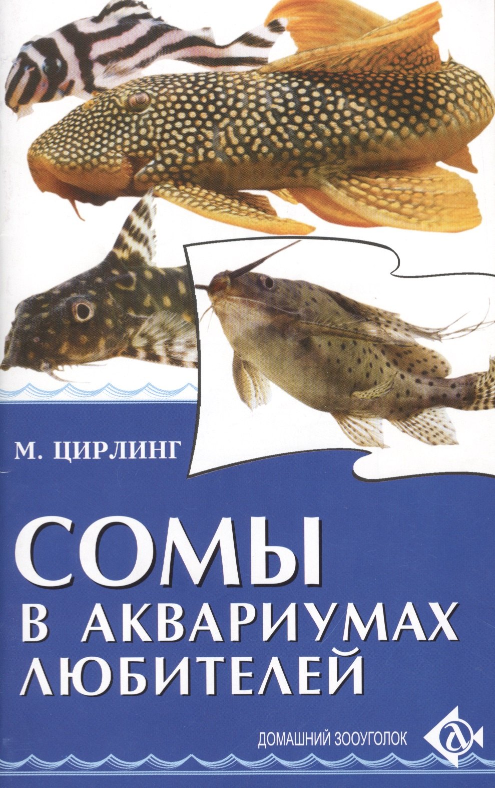 

Сомы в аквариумах любителей