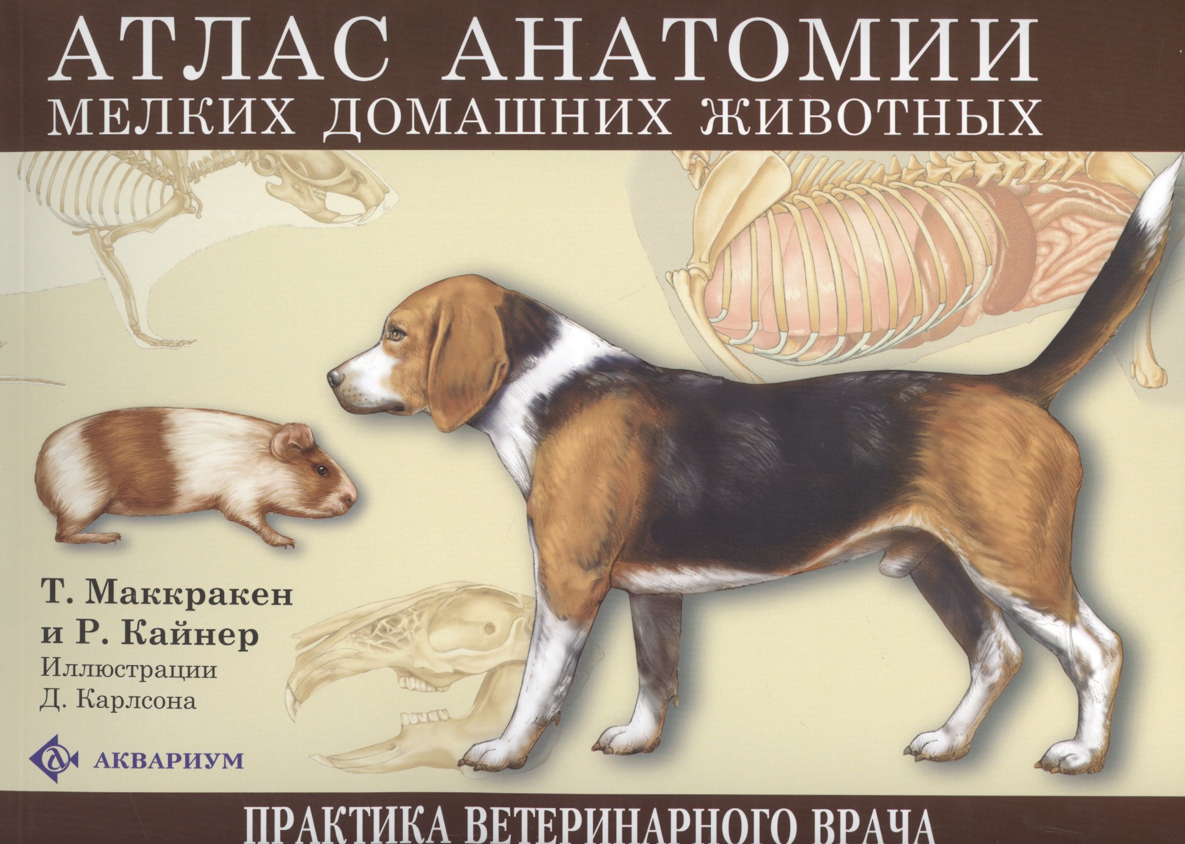 Маккракен Томас О.: Атлас анатомии мелких домашних животных