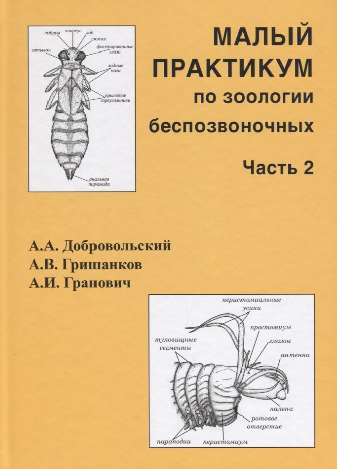 

Малый практикум по зоологии беспозвоночных. Часть 2