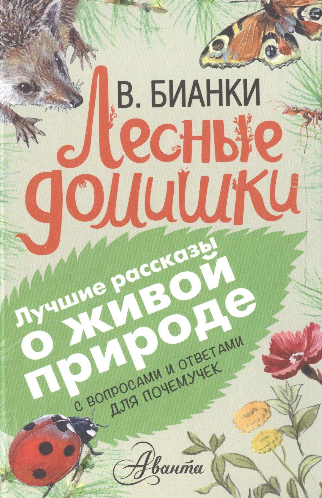 

Лесные домишки