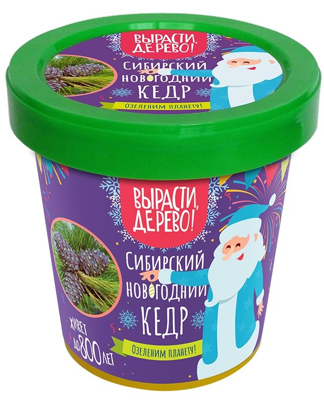 

Набор для выращивания "Сибирский новогодний кедр"