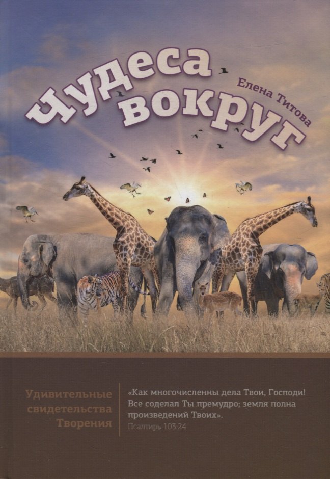 

Чудеса вокруг