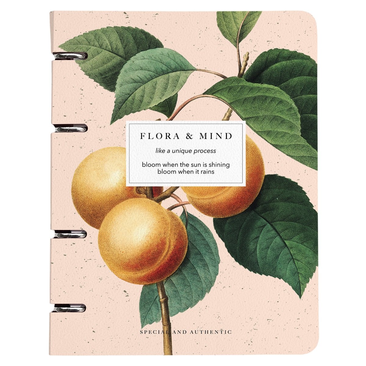 

Тетрадь на кольцах в клетку Be Smart, "Flora. Персики", 120 листов